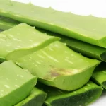 A Natural Treatment With Aloe Vera Can Help Heal Peptic Ulcers