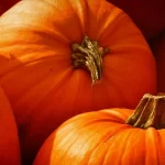 Pumpkin Has Several Health Benefits